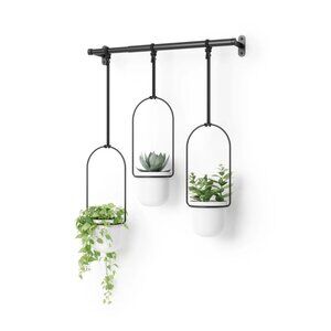 NEW UMBRA TRIFLORA HANGING PLANTERS, SET OF 3